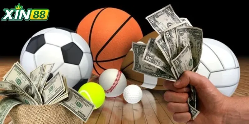 Thể Thao Xin88 – Cá Cược Bóng Đá, Tỷ Lệ Kèo Cực Hấp Dẫn 4 Bỏ túi những mẹo chơi thể thao Xin88 hiệu quả