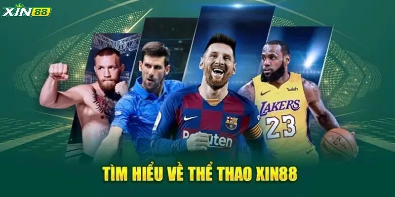 Tìm hiểu sơ lược về sảnh thể thao XIN88