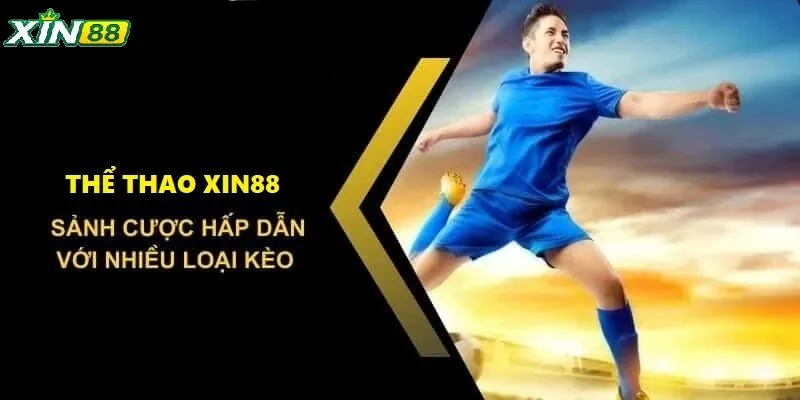 Đa dạng kèo cược cho tất cả các môn thể thao bạn yêu thích